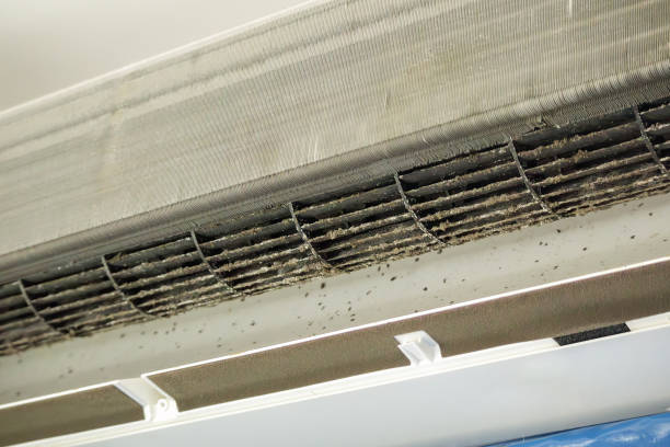 Best Commercial HVAC Duct Cleaning  in Dixon, MO